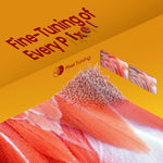 Load image into Gallery viewer, HISENSE 43" 4K UHD Smart Television 43A62KS - Teq Souq