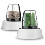 Load image into Gallery viewer, BRAUN BLENDER JB0123
