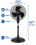 Load image into Gallery viewer, Havells Glanzo FOSGZBLK16021 16-Inch Pedestal Stand Fan – 50W Copper Motor, 3 Blades, 3 Speeds, Adjustable Height, Black - Teq Souq